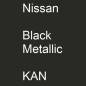 Preview: Nissan, Black Metallic, KAN.